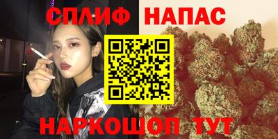 индика Кунгур
