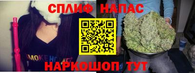 индика Кунгур