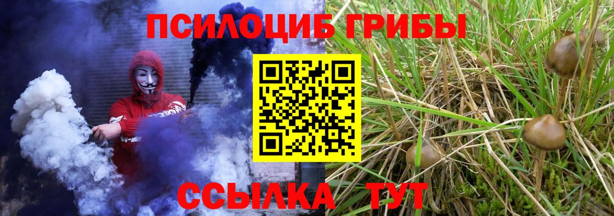 Ессентуки  Псилоцибиновые грибы Cubensis  Вход с VPN  Галлюциногенные грибы Magic Shrooms 